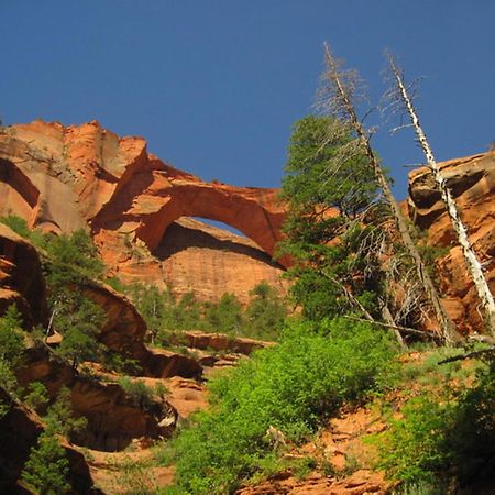 Holiday Inn La Verkin - Zion Park By Ihg Екстериор снимка