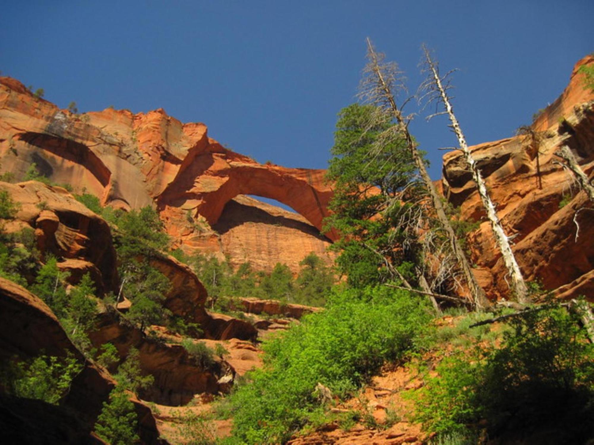 Holiday Inn La Verkin - Zion Park By Ihg Екстериор снимка